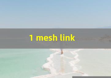  1 mesh link